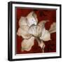 Amaryllis on Red II-Lanie Loreth-Framed Art Print