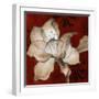 Amaryllis on Red II-Lanie Loreth-Framed Art Print