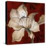 Amaryllis on Red II-Lanie Loreth-Stretched Canvas