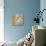 Amaryllis on Soft Blue-Silvia Vassileva-Premium Giclee Print displayed on a wall