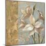 Amaryllis on Soft Blue-Silvia Vassileva-Mounted Premium Giclee Print