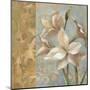 Amaryllis on Soft Blue-Silvia Vassileva-Mounted Art Print