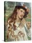 Amaryllis' or 'The Shepherdess', c.1884-William Holman Hunt-Stretched Canvas