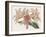 Amaryllis Varietals I-Ridgeway-Framed Art Print