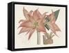 Amaryllis Varietals III-Ridgeway-Framed Stretched Canvas