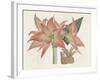 Amaryllis Varietals III-Ridgeway-Framed Art Print