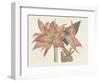 Amaryllis Varietals III-Ridgeway-Framed Art Print