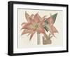 Amaryllis Varietals III-Ridgeway-Framed Art Print