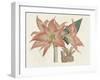 Amaryllis Varietals III-Ridgeway-Framed Art Print