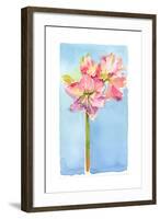 Amaryllis with Aqua Background, 2015-John Keeling-Framed Giclee Print