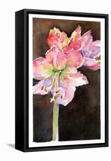 Amaryllis with Brown Background, 2015-John Keeling-Framed Stretched Canvas
