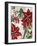 Amaryllis-Color Bakery-Framed Giclee Print