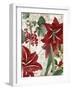 Amaryllis-Color Bakery-Framed Giclee Print