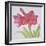 Amaryllis-Deborah Kopka-Framed Premium Giclee Print