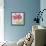 Amaryllis-Deborah Kopka-Framed Stretched Canvas displayed on a wall