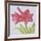 Amaryllis-Deborah Kopka-Framed Giclee Print