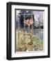 Amaryllis-Umberto Moggioli-Framed Giclee Print