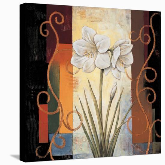 Amaryllis-Jill Deveraux-Stretched Canvas