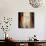 Amaryllis-Jill Deveraux-Art Print displayed on a wall