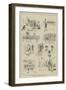 Amateur Athletic Championships at Birmingham-S.t. Dadd-Framed Giclee Print