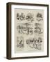 Amateur Bee-Keeping-null-Framed Giclee Print