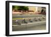 Amateur Men Bicyclists competing in the Garrett Lemire Memorial Grand Prix National Racing Circu...-null-Framed Photographic Print