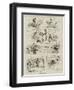 Amateur Racing-null-Framed Premium Giclee Print