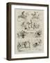 Amateur Racing-null-Framed Giclee Print