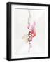 Amative Colours I-Rikki Drotar-Framed Giclee Print