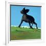 Amazing Black Dog, 2000-Marjorie Weiss-Framed Giclee Print