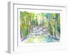 Amazing Dunn’s River Falls Jamaica Excursion-M. Bleichner-Framed Art Print