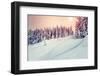 Amazing Evening Winter Landscape. National Park. Carpathian, Ukraine, Europe. Beauty World. Retro S-Leonid Tit-Framed Photographic Print