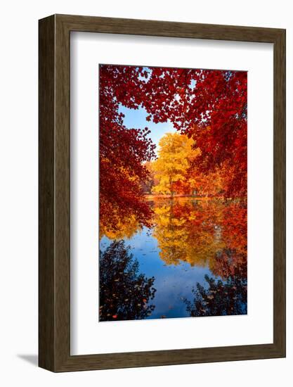 Amazing Love-Philippe Sainte-Laudy-Framed Photographic Print