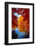 Amazing Love-Philippe Sainte-Laudy-Framed Photographic Print