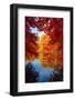 Amazing Love-Philippe Sainte-Laudy-Framed Photographic Print