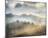 Amazing Mountain Landscape Ii.-null-Mounted Art Print