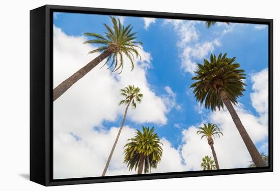 Amazing Palm Tree in Beverly Hills, California - USA-Frazao-Framed Stretched Canvas