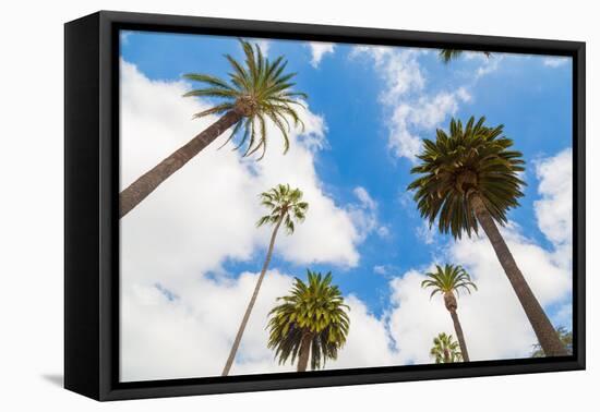 Amazing Palm Tree in Beverly Hills, California - USA-Frazao-Framed Stretched Canvas