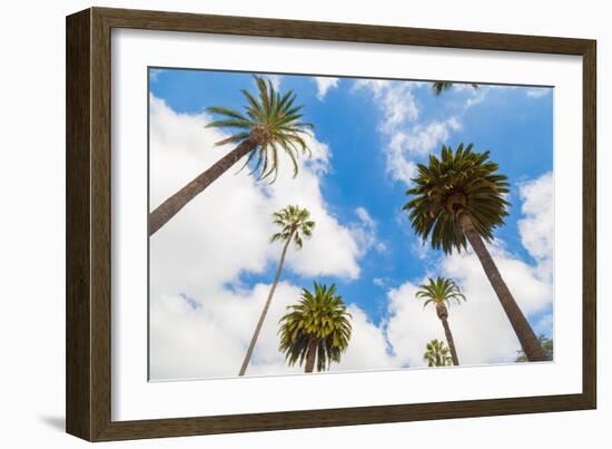 Amazing Palm Tree in Beverly Hills, California - USA-Frazao-Framed Photographic Print