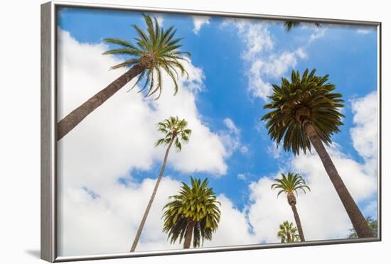 Amazing Palm Tree in Beverly Hills, California - USA-Frazao-Framed Photographic Print