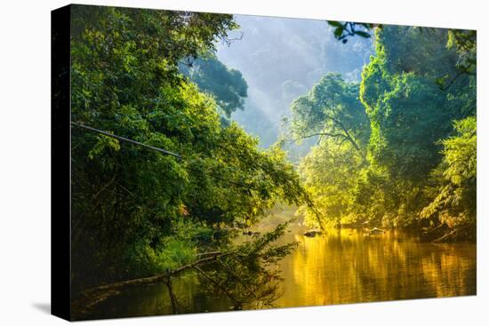 Amazing Scenic View Tropical Forest with Jungle River on Background Green Trees in the Morning Rays-Cocos Bounty-Stretched Canvas