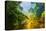 Amazing Scenic View Tropical Forest with Jungle River on Background Green Trees in the Morning Rays-Cocos Bounty-Stretched Canvas