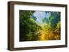 Amazing Scenic View Tropical Forest with Jungle River on Background Green Trees in the Morning Rays-Cocos Bounty-Framed Photographic Print