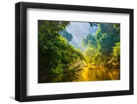 Amazing Scenic View Tropical Forest with Jungle River on Background Green Trees in the Morning Rays-Cocos Bounty-Framed Photographic Print