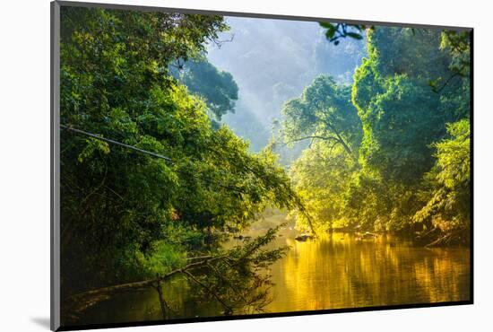 Amazing Scenic View Tropical Forest with Jungle River on Background Green Trees in the Morning Rays-Cocos Bounty-Mounted Photographic Print