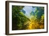 Amazing Scenic View Tropical Forest with Jungle River on Background Green Trees in the Morning Rays-Cocos Bounty-Framed Photographic Print