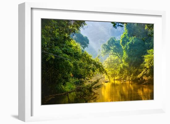 Amazing Scenic View Tropical Forest with Jungle River on Background Green Trees in the Morning Rays-Cocos Bounty-Framed Photographic Print