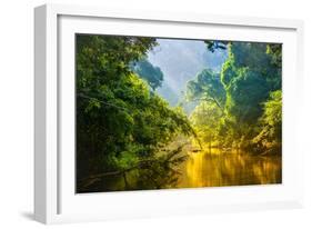 Amazing Scenic View Tropical Forest with Jungle River on Background Green Trees in the Morning Rays-Cocos Bounty-Framed Photographic Print