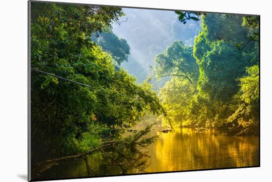 Amazing Scenic View Tropical Forest with Jungle River on Background Green Trees in the Morning Rays-Cocos Bounty-Mounted Photographic Print