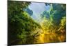 Amazing Scenic View Tropical Forest with Jungle River on Background Green Trees in the Morning Rays-Cocos Bounty-Mounted Photographic Print